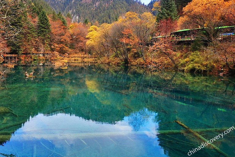 5 Days Chengdu Jiuzhaigou Comfortable Tour Chengdu Tours