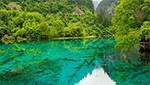 5 Days Chengdu Jiuzhaigou Tour perfect trip to experience Chengdu highlights & Jiuzhaihgou Splendor at its most dynamic (Chengdu /Jiuzhaigou)