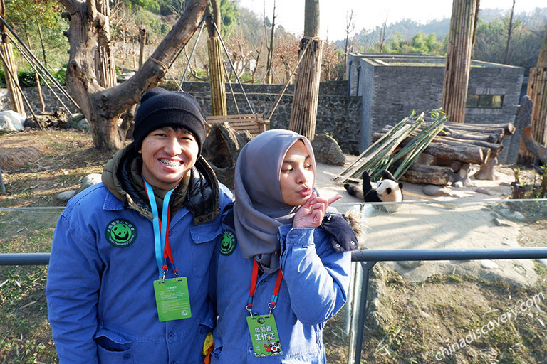 Dujiangyan Panda Volunteer Tour