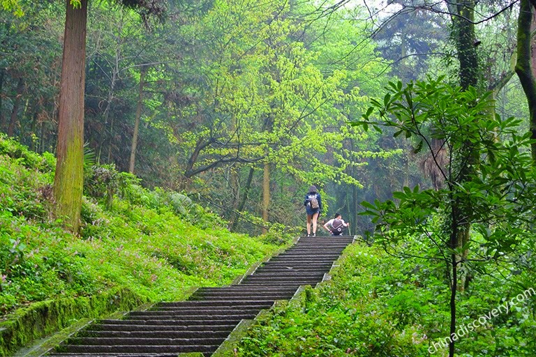 3 Days Mount Emei Classic Walking Tour with Moderate Pace Mount Emei Tours