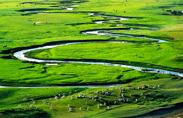 Hulunbuir Grassland