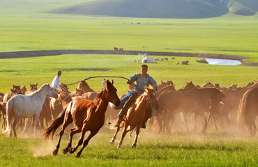 Hohhot Travel - Featured Hohhot Activities