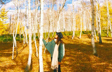 Hulunbuir Travel Guide - White Birch Forest